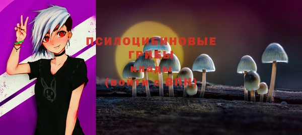 apvp Покачи