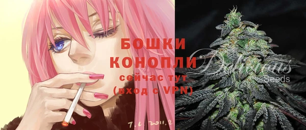 apvp Покачи